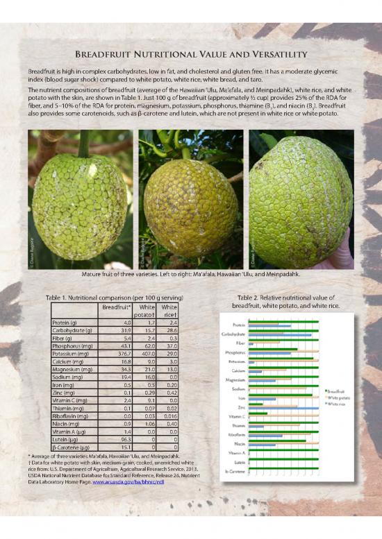 picture_Breadfruit Nutrition Fact Sheet