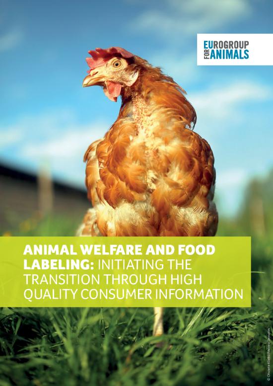 picture_Food Label Template Pdf 139086 | E4a Aw Food Labeling 2020 Web Version