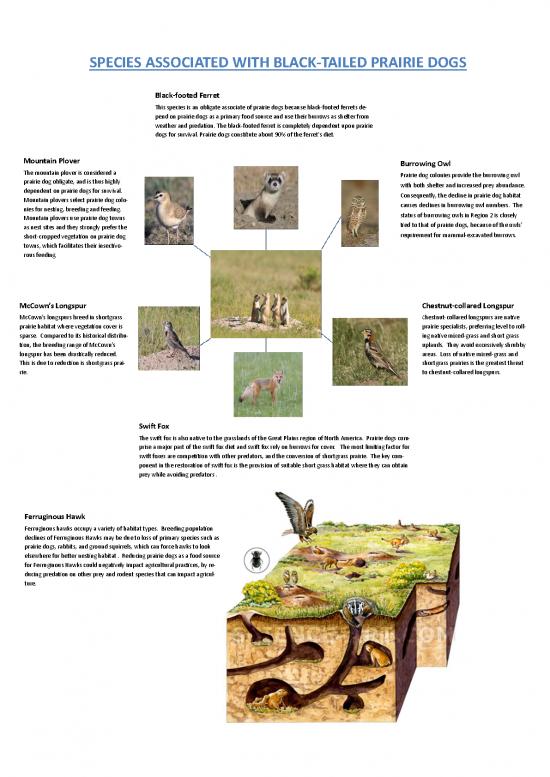 picture1_Mountain Dog Diet Pdf 139217 | Fseprd538627