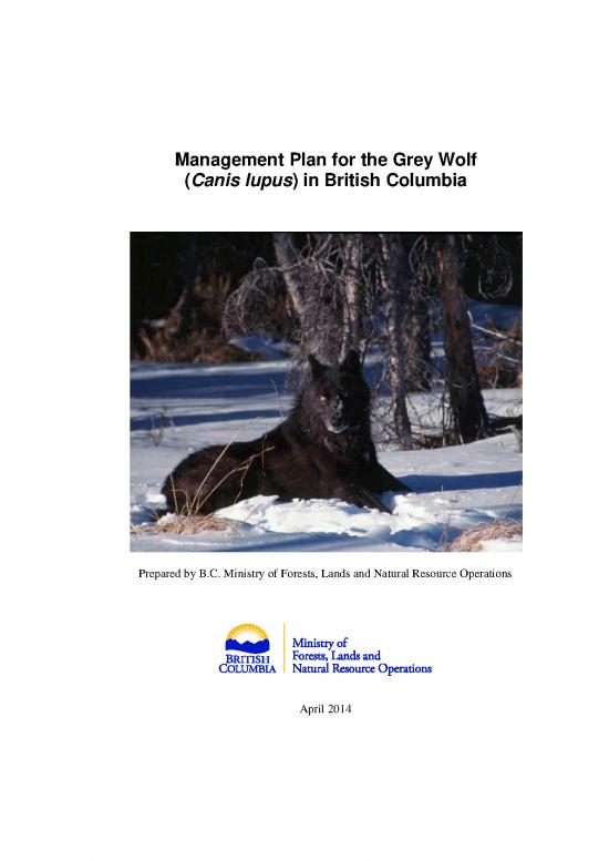 picture_Grey Wolf Management Plan