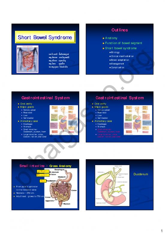 picture1_Shortbowel