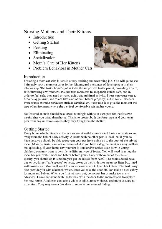 picture1_Nursing Mother Cats And Kittens