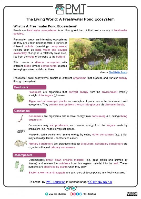 picture_A Freshwater Pond Ecosystem