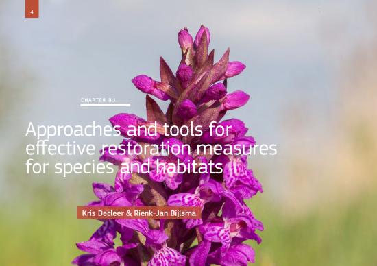 picture Ecology Pdf 160567 | B1 Restoriation Measures Jra