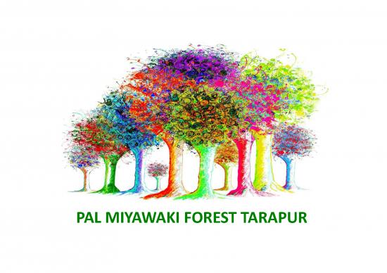picture_Forest Pdf 159483 | Csr Pal Miyawaki Forest