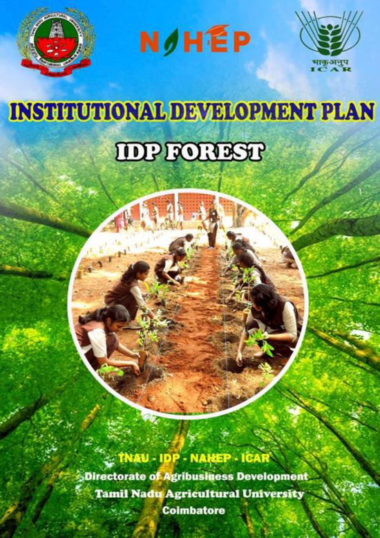 picture Forest Pdf 159170 | Idp Forest