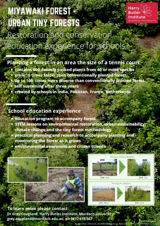 picture Forest Pdf 159155 | Miyawaki Forest Urban Tiny Forest Fact Sheet