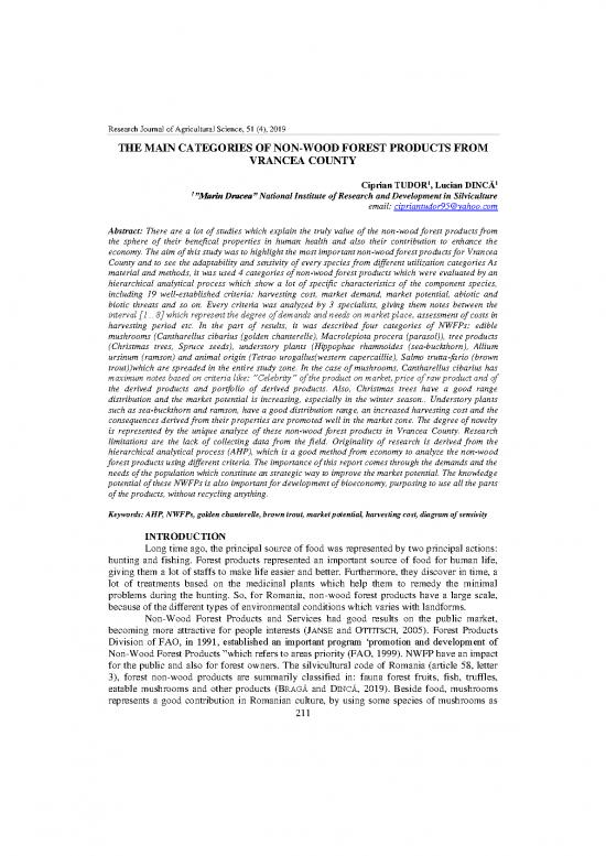 picture Forest Pdf 159142 | Tudor 1