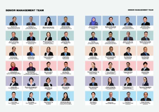 picture_Management Team Pdf 165981 | Top Glove Smt 2910