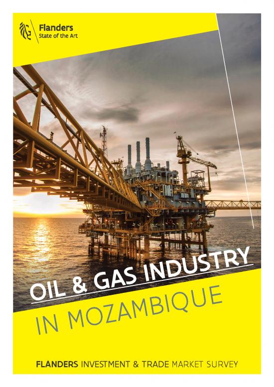 picture1_Oil Pdf 177318 | 2021 Mozambique Oil Gas Sector