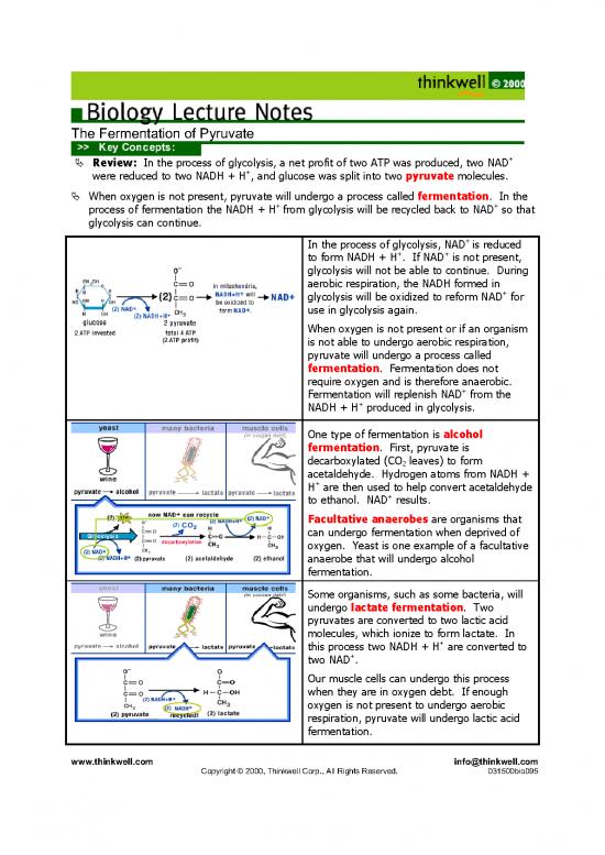 picture_Fermentation Pdf 180527 | Fermentation Pyruvate