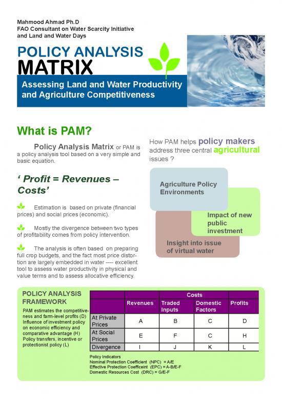 picture1_Policy Analysis Matrix 193304 | Pam L&w Days Final