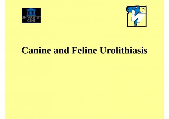 picture Building Slides In Powerpoint 23851 | Urolithiasis